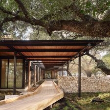 A Stay Beneath the Oaks