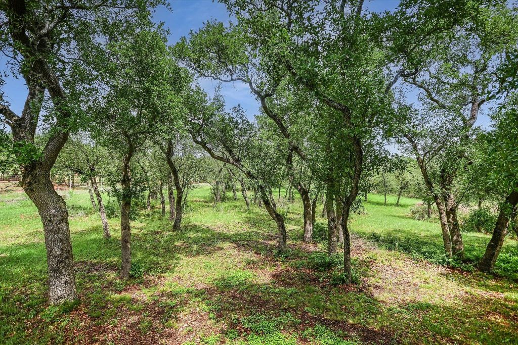 10809 Albero Cove